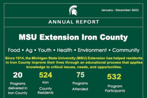 IRON COUNTY 2023 ANNUAL REPORT