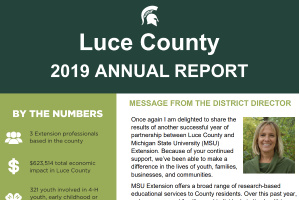 Luce County Annual Report 2019