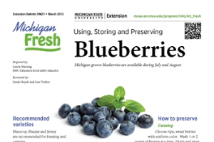 Michigan Fresh:Using, Storing, and Preserving Blueberries (HNI21)