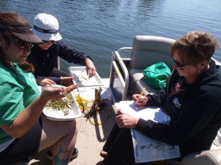 Angela De Palma-Dow in the field with volunteers from Pleasant Lake, Washtenaw Co., helping to identify some plants and record their findings. Photo credit: Paige Filice