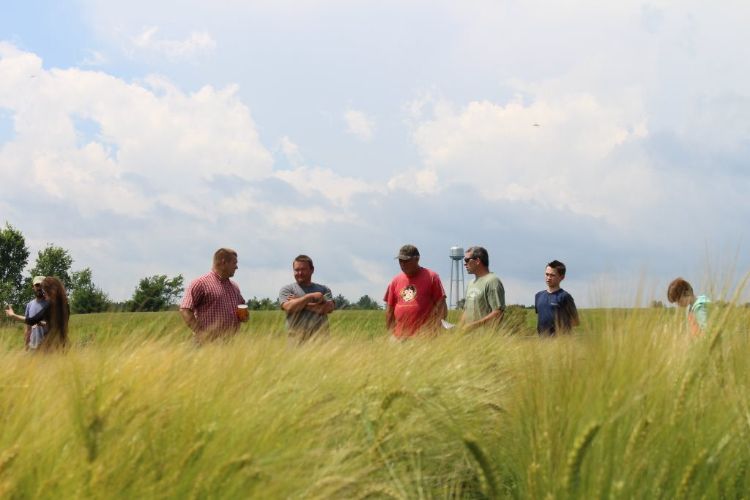 Visitors to last year’s UPREC Field Day learn about the latest crop variety trials conducted at the center.