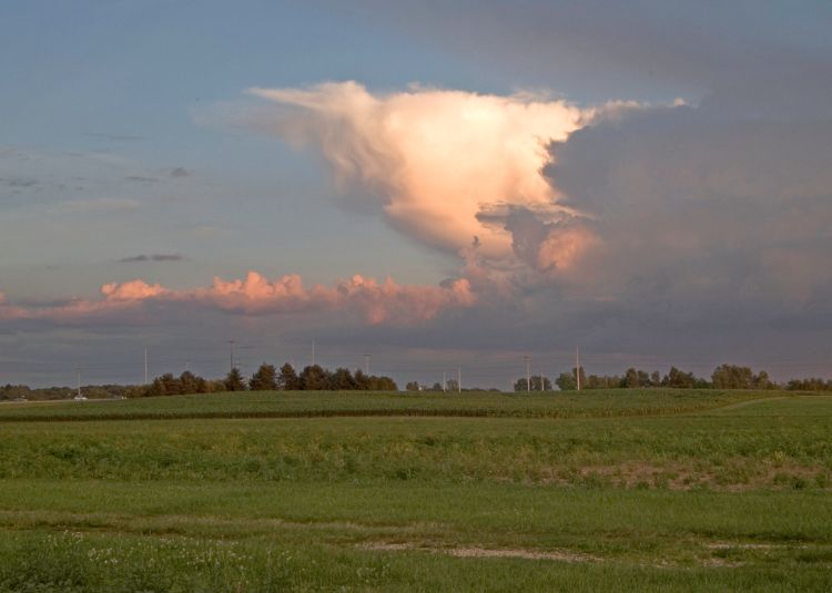 Field with clouds