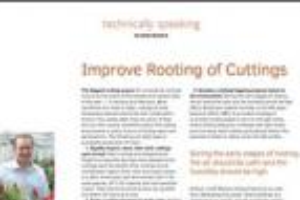 Improve rooting of cuttings