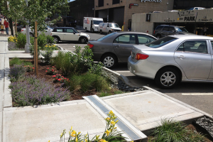Green infrastructure techniques are for properties big and small