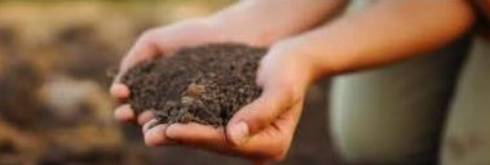 A person holding dirt in their hands