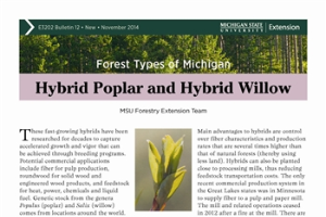 Forest Types of Michigan: Hybrid Popular and Hybrid Willow (E3202-12)