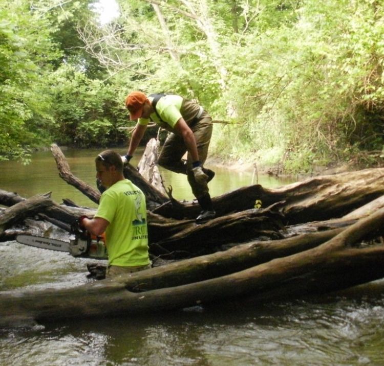 Volunteers manage large woody debris causing log jam.Photo credit: Clinton River Watershed Council