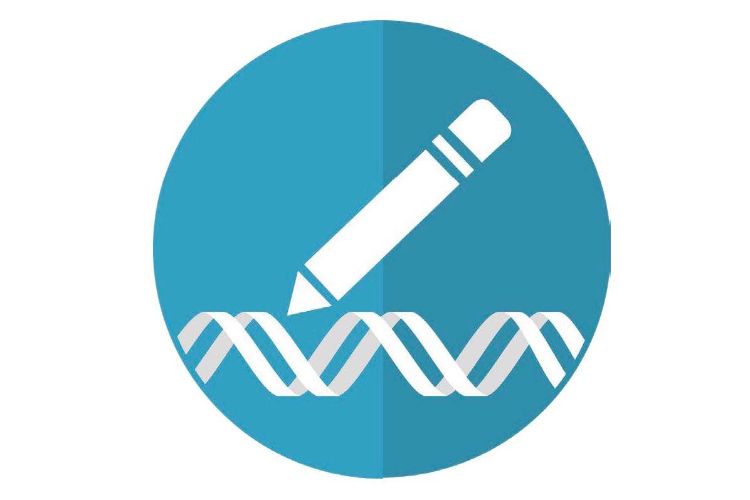 Image of gene and pencil to represent gene editing.