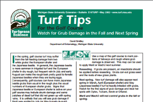 Watch for Grub Damage in the Fall and Next Spring (E0016TURF)