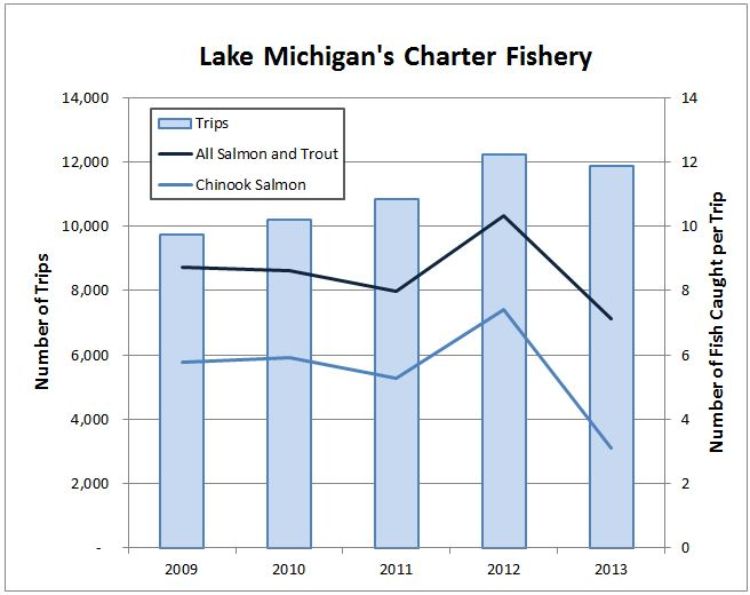 Chinook salmon catch rate dropped in 2013, but the news is not all bad. Image credit: Michigan Sea Grant