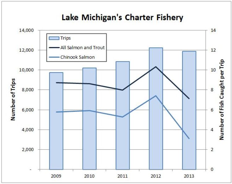 Chinook salmon catch rate dropped in 2013, but the news is not all bad. Image credit: Michigan Sea Grant