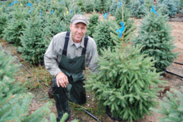 Gary Powell, nursery manager, Dutchman Tree Farms