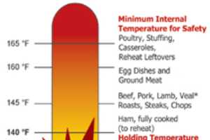 Food Danger Zone Msu Extension