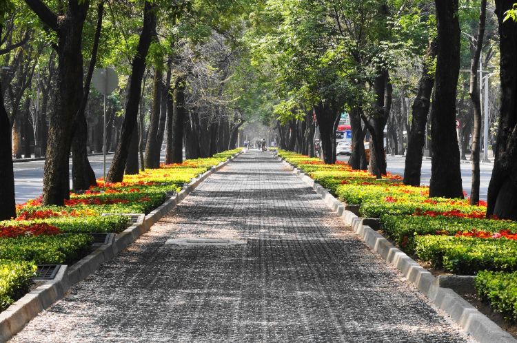 Grey concrete pathway between green trees during daytime.