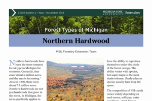 Forest Type of Michigan: Northern Hardwood (E3202-2)