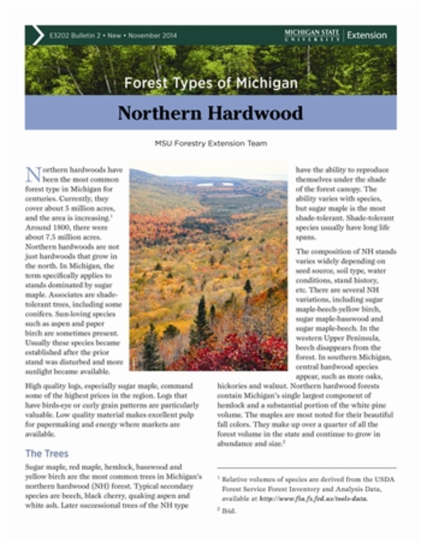 Forest Type Of Michigan Northern Hardwood E3202 2 Msu Extension
