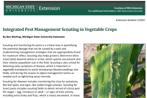 Integrated Pest Management Scouting in Vegetable Crops (E3293)