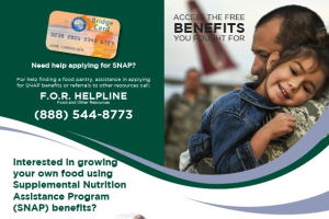 SNAP for Veterans Folded Rack Card