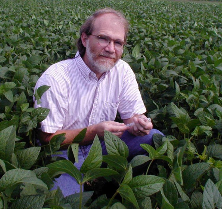 Phil Robertson, University Distinguished Professor of crop and soil sciences, courtesy photo.