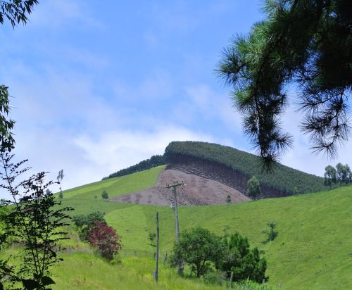 Deforestation for agriculture meets forests in land north of Campinas, Brazil