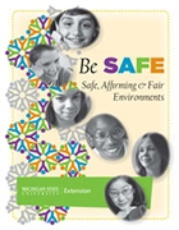 Image of cover of Be SAFE: Safe, Affirming and Fair Environments.