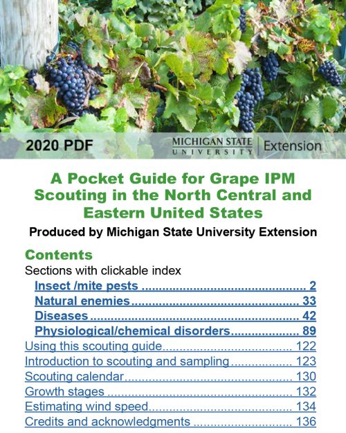 First page of mobile grape IPM scouting guide