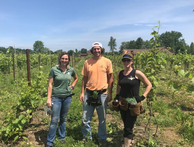 Jackie Grow (left) is the program coordinator for the MSU Institute of Agricultural Technology certificate programs offered at Wayne County Community College District. This is a student visit to Youngblood Vineyards in Ray, Michigan.
