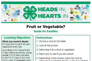 Heads In, Hearts In: Fruit or Vegetable?