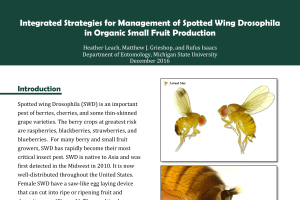 Integrated Strategies for Management of Spotted Wing Drosophila in Organic Small Fruit Production