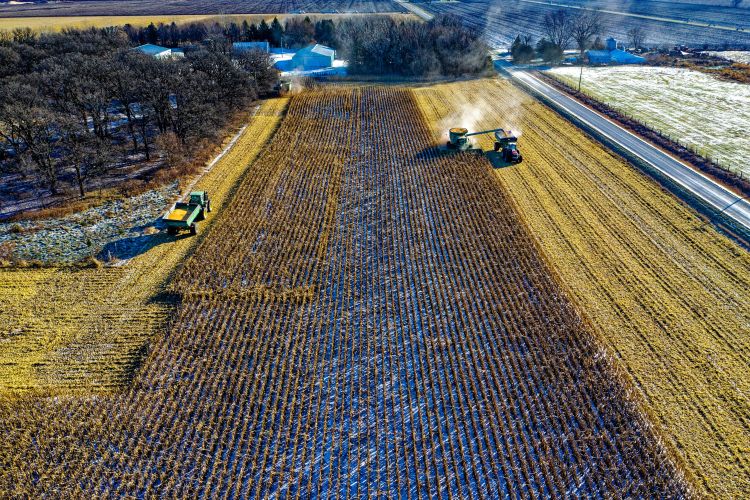 Aerial view of tractors harvesting corn