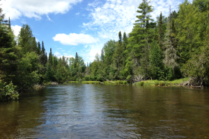 Protecting the Au Sable River