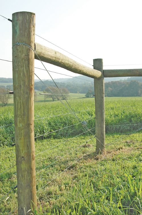 Building barbed shop wire fence cattle