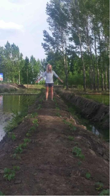 Anna stands of strip of soy between rice paddies