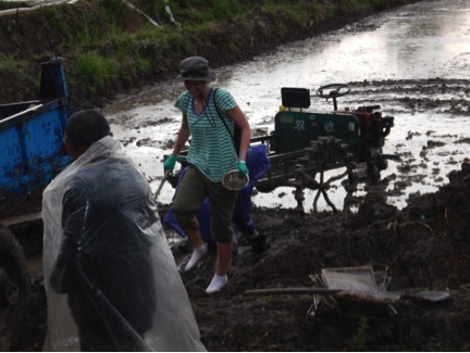 Anna and research colleagues sample in a Chinese rice paddy