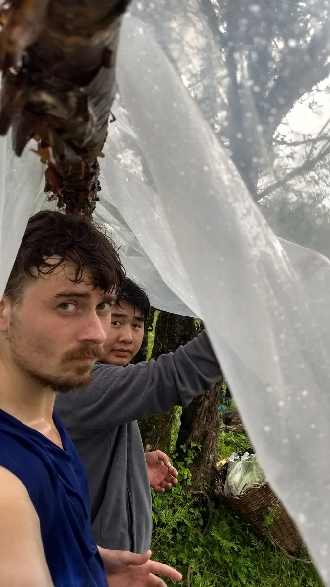 Thomas Connor and colleague collecting in Chinese forest