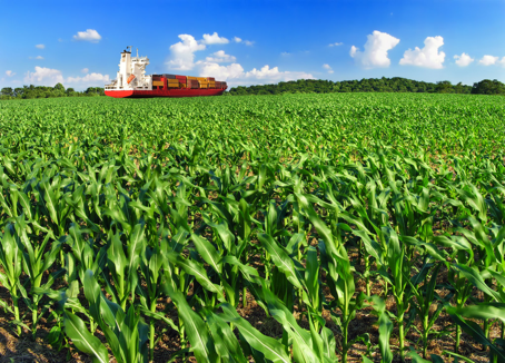 Ship floating on top of corn field