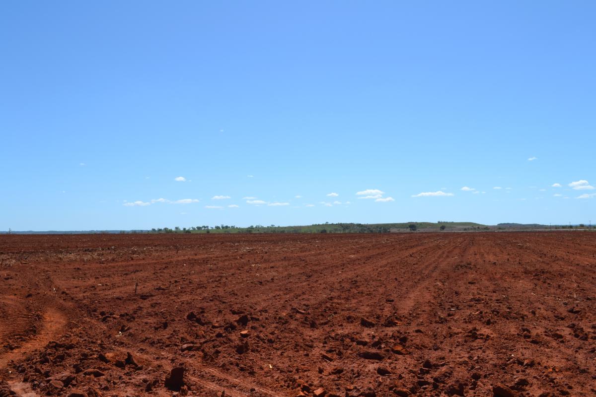 Cerrado converted to cropland