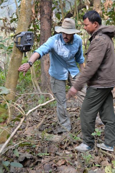 Neil Carter with assistant placing camera traps