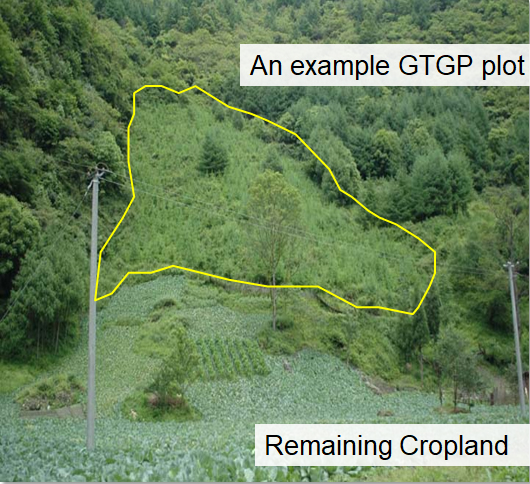 example of cropland returning to forest under Grain to Green Program in China
