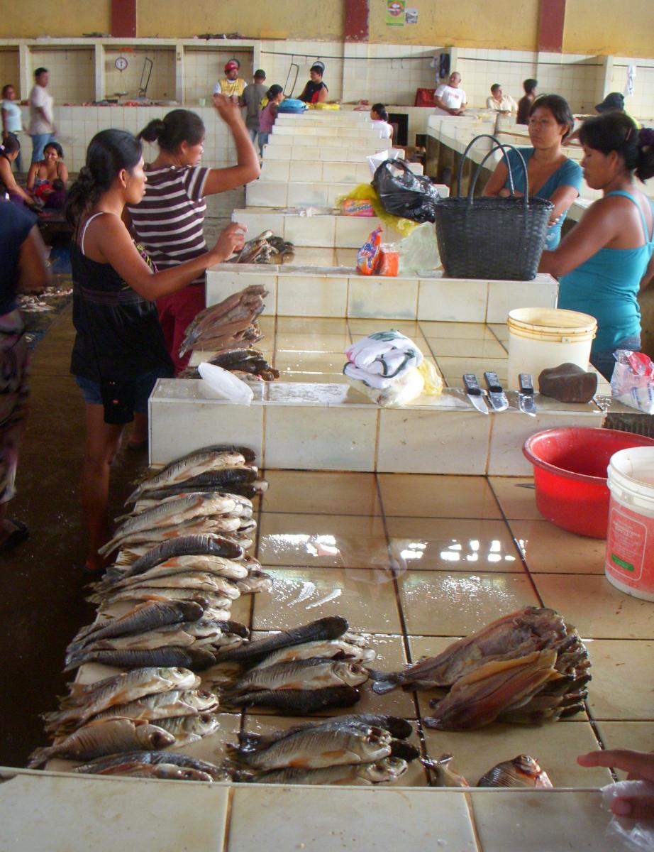 Fish market in Iquitos, Peru