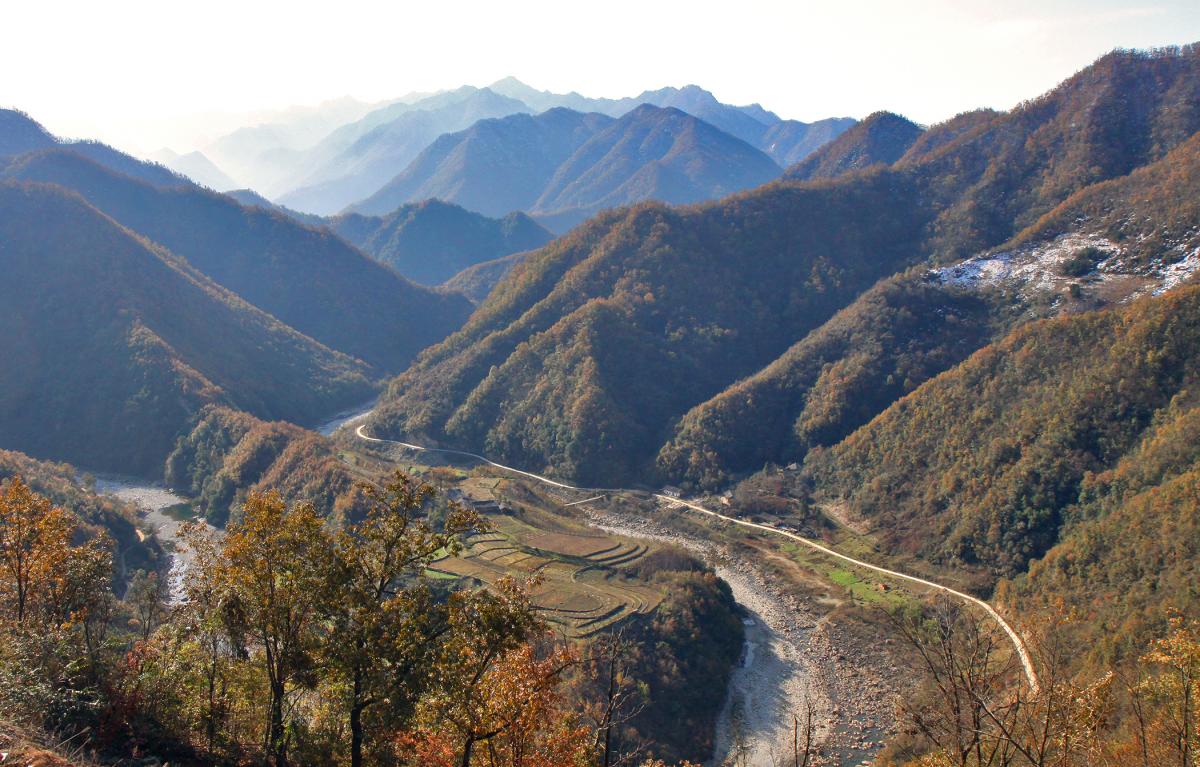Panda habitat in Wolong, China, fragmented by roads and cropland