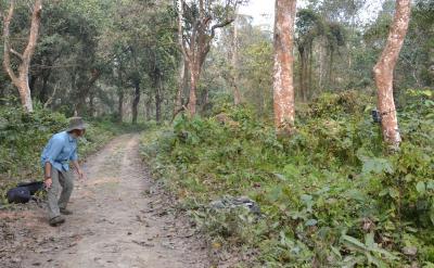 Neil Carter aligns a camera trap in Chitwan