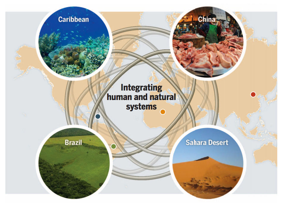 Illustrative representation of systems integration. Courtesy of Science Magazine