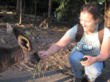 abby feeding a roo