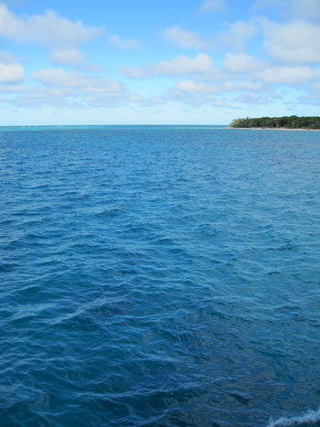 great barrier reef