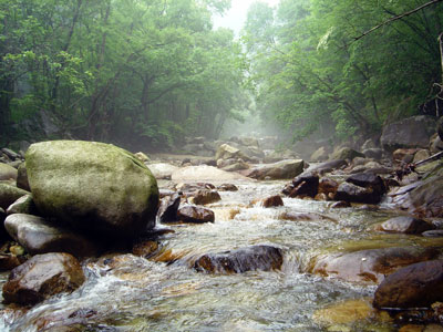River in Qinling Mountain Region in China