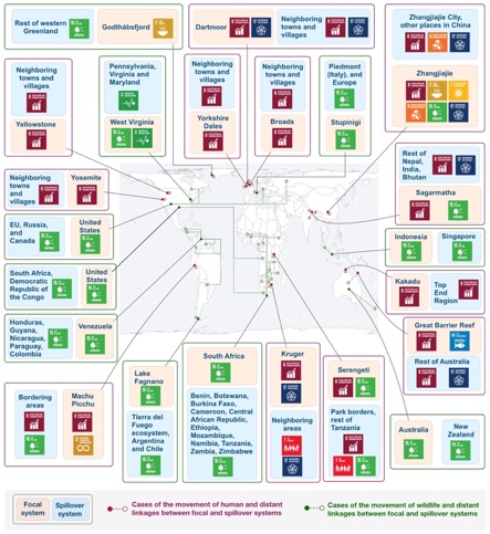 Metacoupling_Sustainability_2020