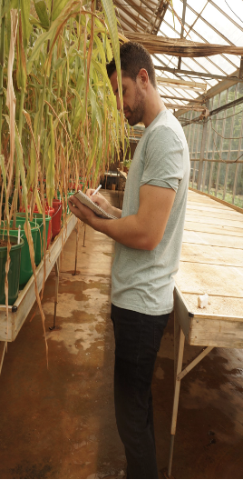 Timothy Silberg Collecting Data From Greenhouse Trials