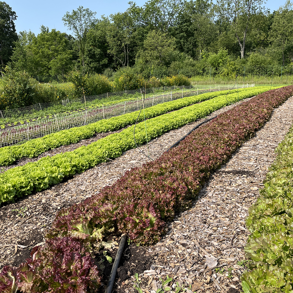 PSA Trainings button over image of farm field