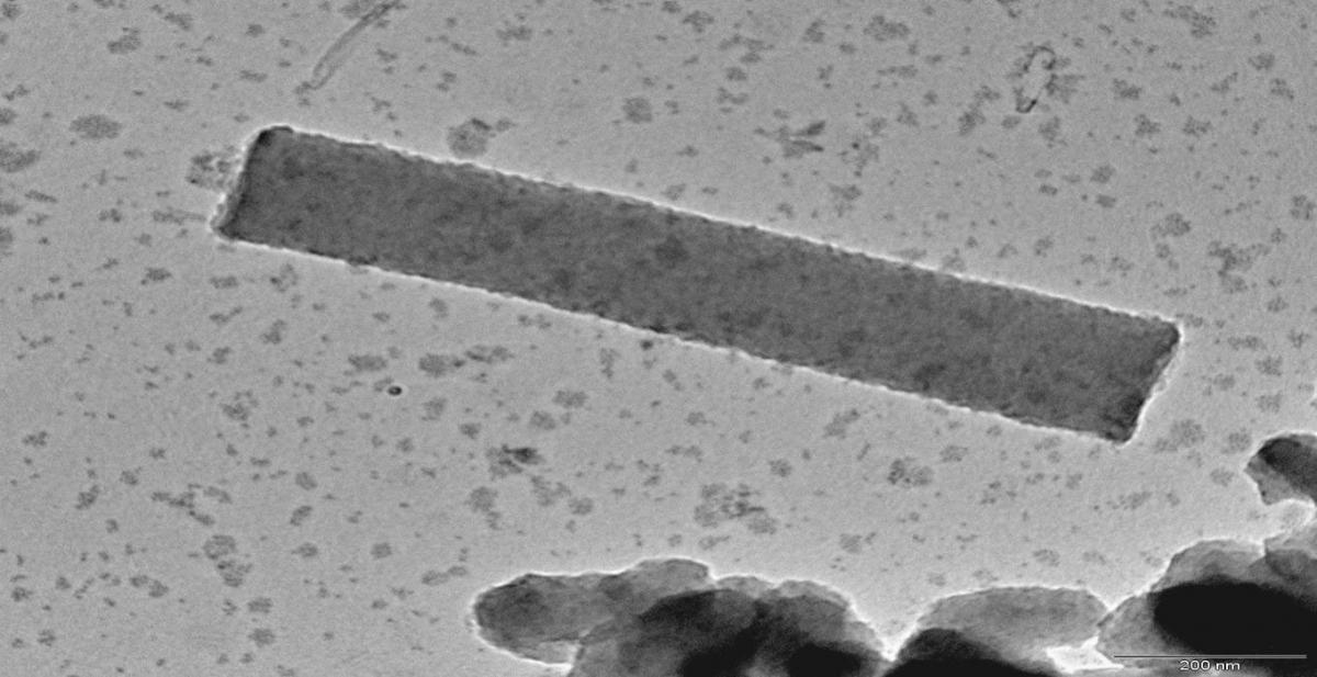 Research-Pani-nanowire.jpg